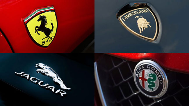 Custom Automotive Logos for Your Vehicle